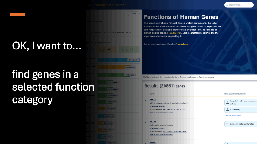 GO Function Category Distribution view in the PAN-GO Functionome